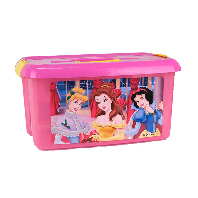 التعامل مع صندوق تخزين حقن صب في تسمية القالب