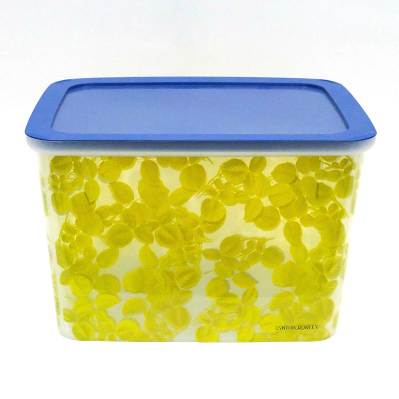 فرز صب حقن الصندوق في ملصق القالب