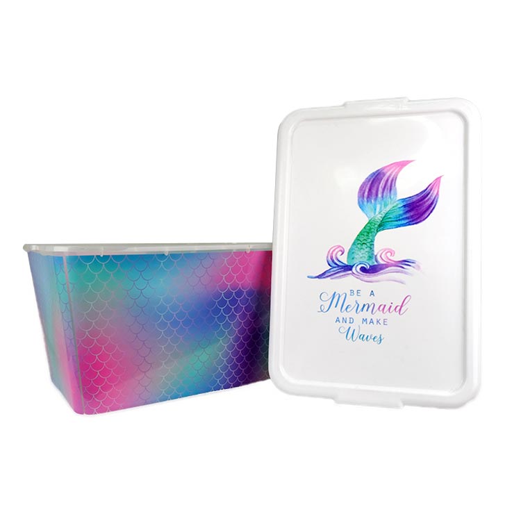 منظم التخزين حقن صب في تسمية القالب